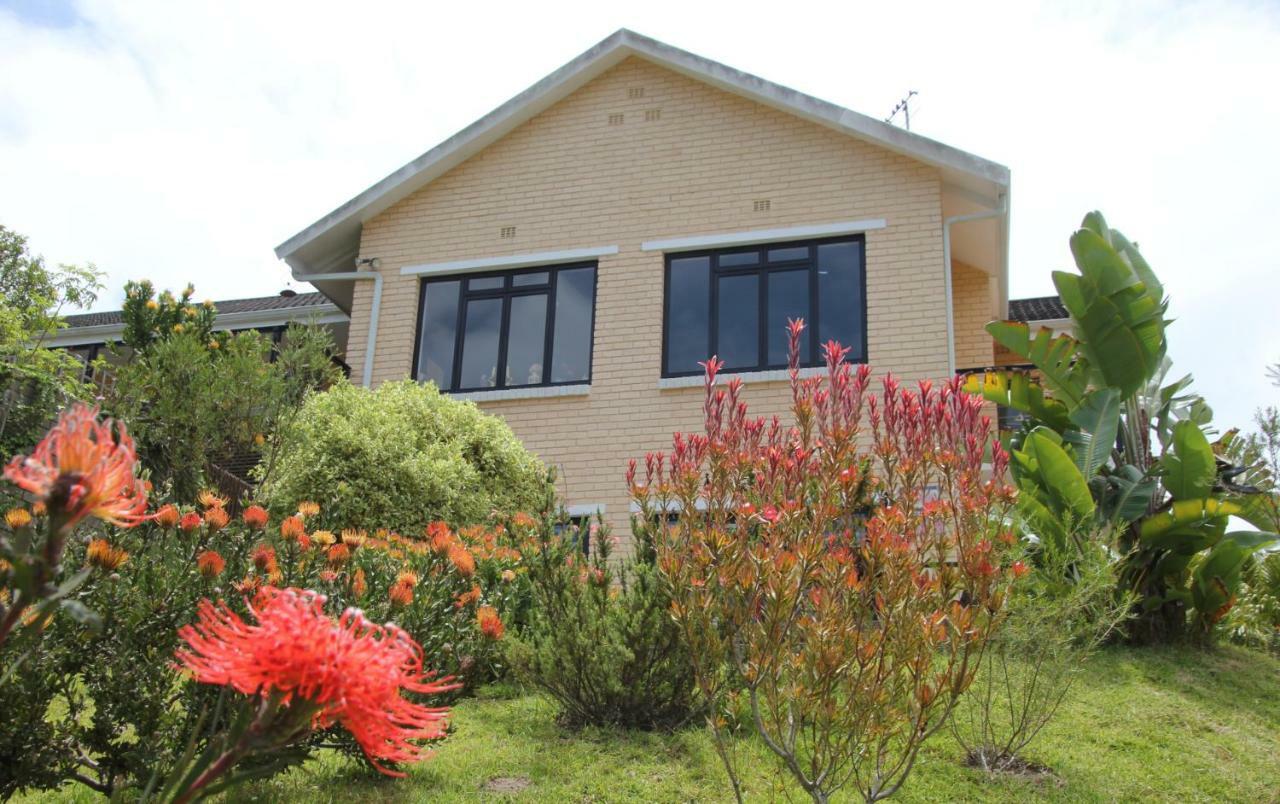 Garden Cottage In Ambiente Guest House Knysna Exterior photo